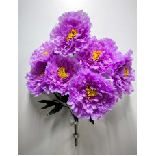 3БК30 Пион 7г.атлас оч.круп.высок(10)