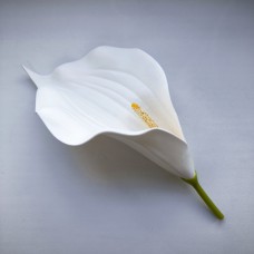 НС1143 Калла латекс 19см (черн/бел/красн)(50)