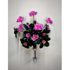 4БК72 Азалия 5вет.15г.на лист.(40)