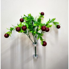 9БК11 Ягоды 5вет.10г.(40)