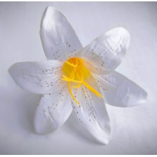 НТ111.706 Лилейник (50)