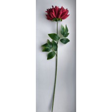 ОН131.163 Хризантема одиноч.оч.круп. 81 см(30)