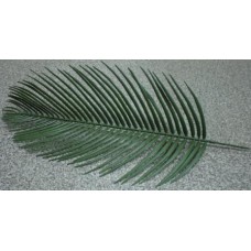 7.4.304 Лист пальмы круп.(200/10)