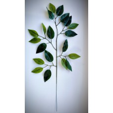 7.158.141 Фикус 5 веточек(12)