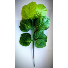 7.158.143 Яблоня 5лист.круп.(12)