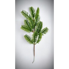 8.152.275 Ветка елки нобилис(80/1)