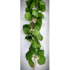 8.155.47 Лиана со средн.лист.(1)