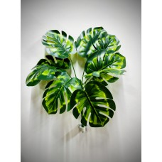 8.156.21 Ветка кустовая монстера (1)