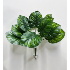 8.156.22 Ветка кустовая диффенбахия (1)