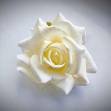 Н111.3049 Роза ботаническая с прожил.(20)