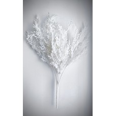 ОН153.543 Мимоза 5вет.25г.(2)