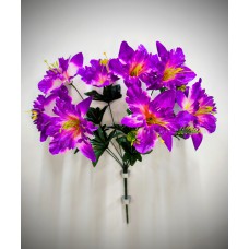 1БК53 Нарцисс 9г.атл.с пласт.папорот.(20/2)