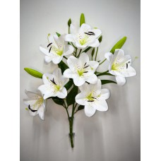 1БК63 Лилия латекс 7г.+бут.(20=4уп.н.+1уп.г.)