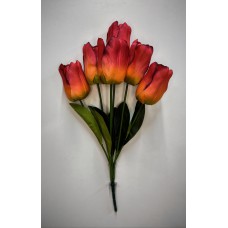 2БК35 Тюльпан 6г.оч.круп.(6)