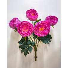 2БК41 Пион 5г.полурасп. многосл.красив.(16)