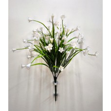 2БК76 Лилейник 13вет.91г.бел.пласт.(40)