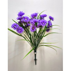 4БК11 Космея 13вет.26г.с осок.(20)