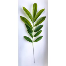 8.158.151 Ветка лавр(12)