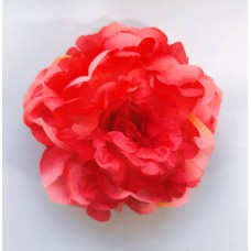 Н111.3056 Пион многослой.пышный(20)