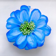 Н111.748 Георгин-Циния многосл.атл.13см (20)