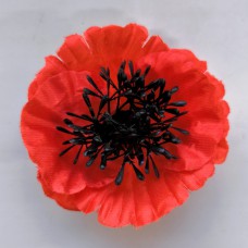 Н18 (111.313) Мак атлас. мал.(40)