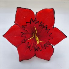 НС112.100 Нарцисс звездоч.барх.с ч.кант.(100)