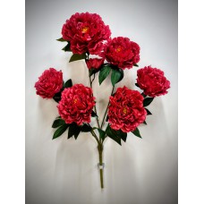 4БК43 Пион 6г.+1бут.атл.многосл.(10)