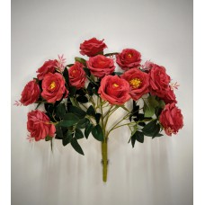 3БК21 Камелия-шиповник 15г.с обсып.тыч.(10)