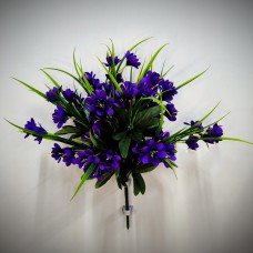 3БК50 Лилейник 13вет.52г.с осок.(20)