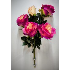 4БК35 Вет.розы 4г.+1бут.многосл. гигант(1)