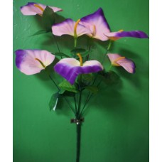4БК79 Каллы (7) / (40)