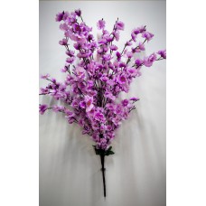 5БК1 Сакура 30вет.180г. оч.круп.(1)