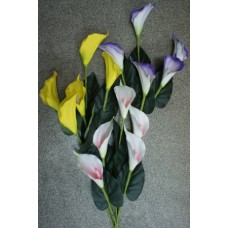 1БК54 Роза-бут.круп. 7г.+7м/цв.бел.с пл.папор(20)