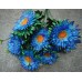 5БК12 Хризантемка 7г.атл.с бел.каш.(30)