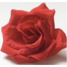 Н20.19 Роза барх. острая (100)