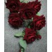 3БК22 Роза барх.6г.+2бут.остр.(20/1)