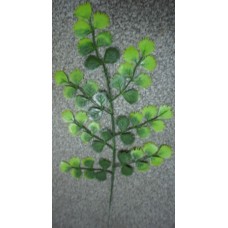 7.4.27 Петрушка с круп.листом (500/20)