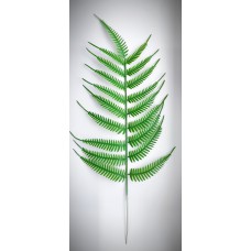 8П1 Папоротник пласт.гигант(20)