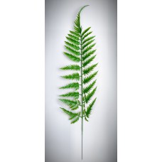 8П4 Папоротник пласт.сред.петрушка(20)