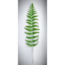 8П5 Папоротник пласт.сред.лесной(20)