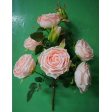 1БК48 Роза-бут.9г.с пласт.доб.(20)