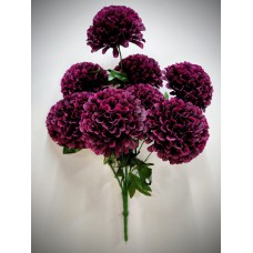 9БК27 Шафран 9г.оч.круп.высок(10)