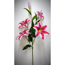 9БК33 Вет.лилии латекс 4г.+бут.(1)