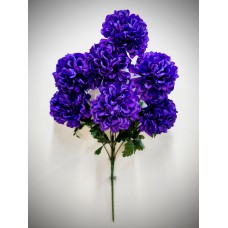 9БК45 Шафран 7г.высок.атл.(10)