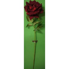 К6 Роза кудряв.барх.одиноч. высок(125)