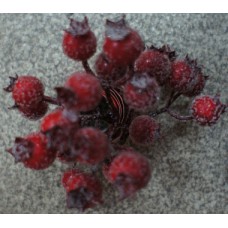 ФН40 Ягоды шиповника в сах. (10)