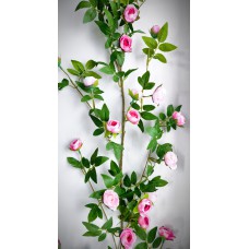 8.155.96 Лиана розы 54г.флорист.170см(1)