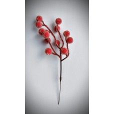 ОН172.103 Ягоды в сахаре на вет.(20)