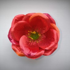 Н1273 Роза-Шиповник круп.атл.(40)