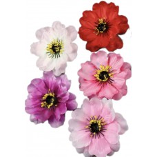 Н1284 Маргаритка атл.с обсып.тыч.11см(50)